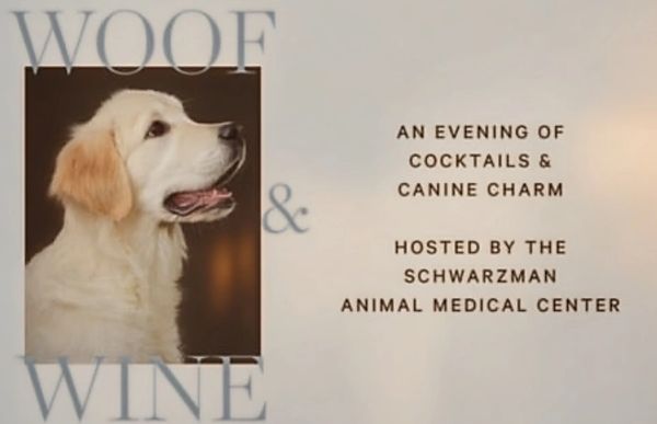 Event flyer featuring a golden retriever for a canine-themed cocktail evening.