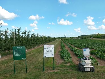 Robot working in a vegetable crop field with warning signs.