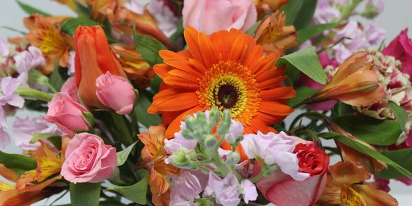 A vibrant bouquet with orange, pink, and purple flowers.
