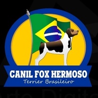 Canil Fox Hermoso