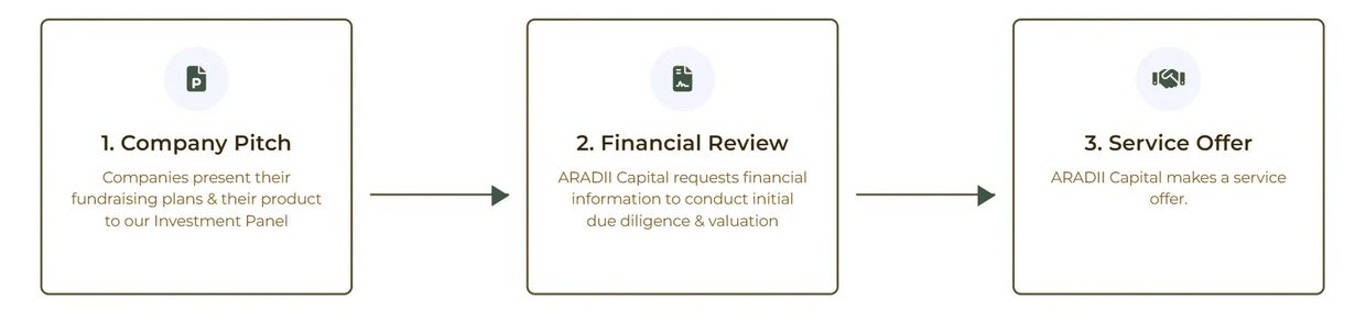 Flowchart showing company pitch, financial review, and service offer steps.