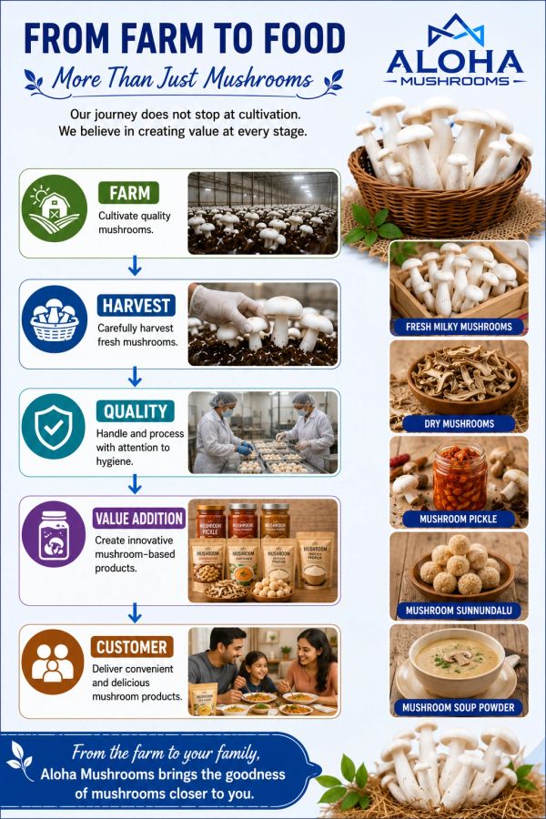 Infographic showing the journey of mushrooms from farm to customer with various mushroom products.