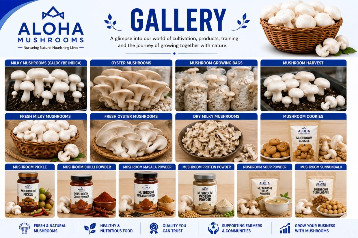 Aloha Mushrooms product gallery showcasing various mushroom varieties and mushroom-based products.