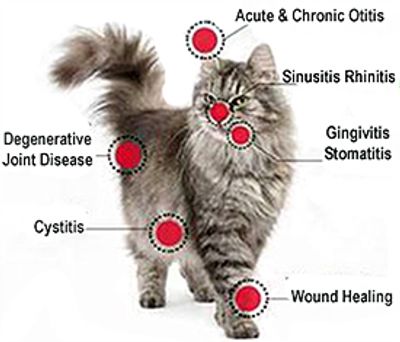 Laser Treatment options