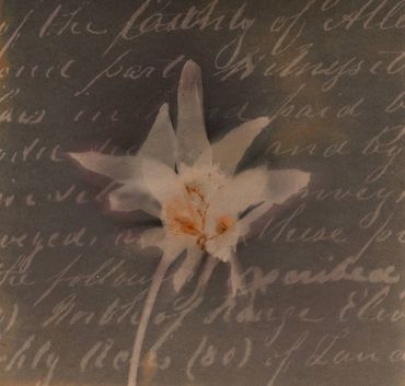 Lumen print with handwritten letter dating from 1700-1800s.