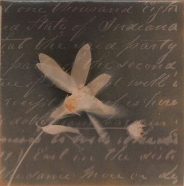 Lumen print with handwritten letter dating from 1700-1800s.