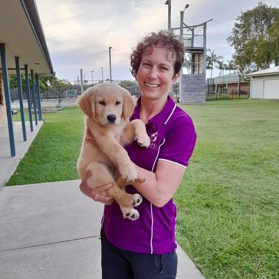 puppy training kawana