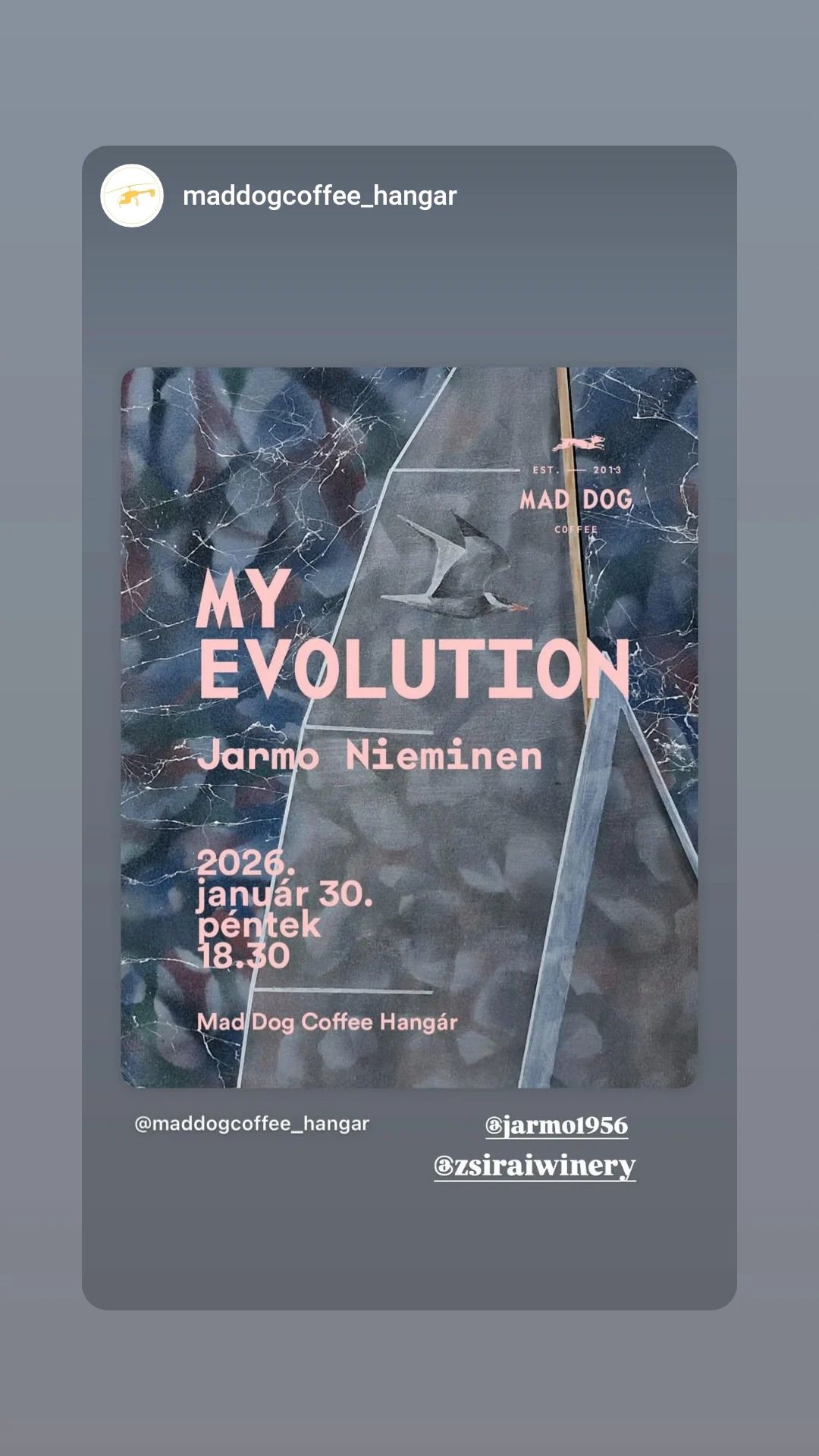 Event poster for 'My Evolution' by Jarmo Nieminen at Mad Dog Coffee Hangár in 2026.