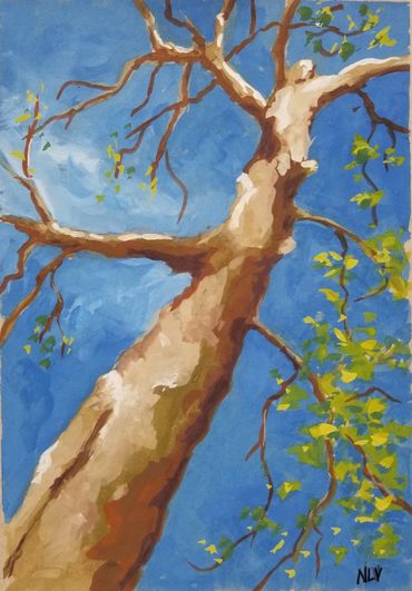 gouache sycamore tree with sky