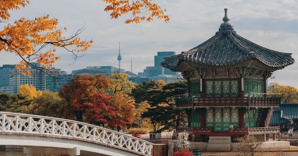 traditional building in Seoul, Namsan Tower in the background, Seoul in autumn