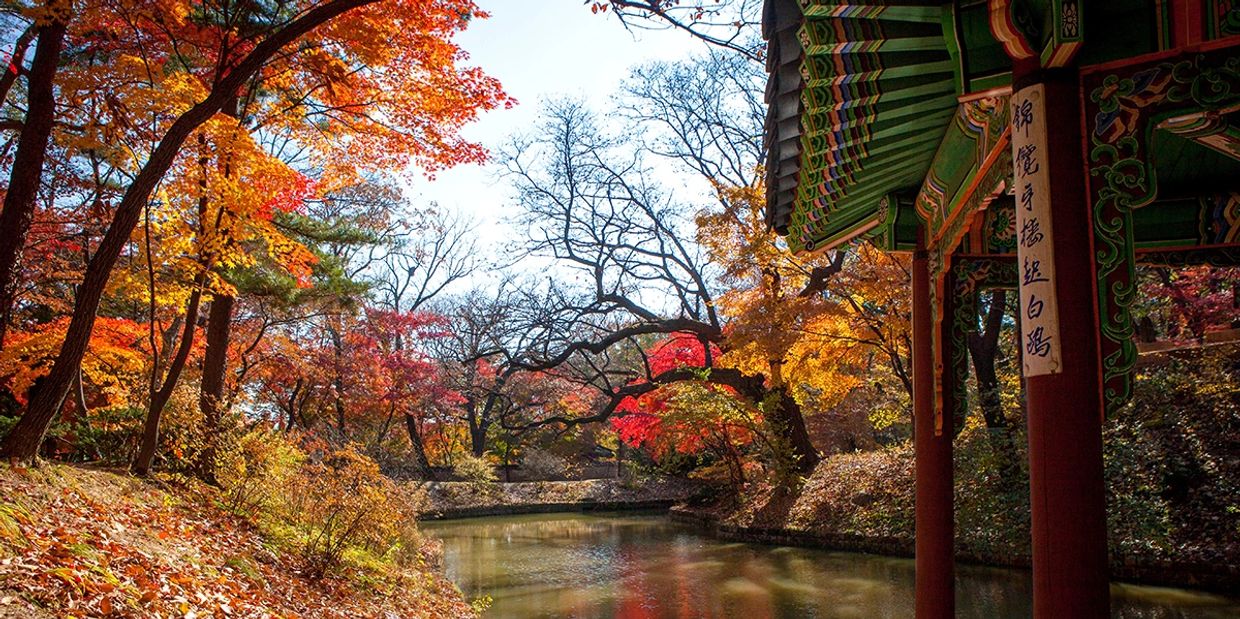 traditional korean building in a park in Seoul, South Korea