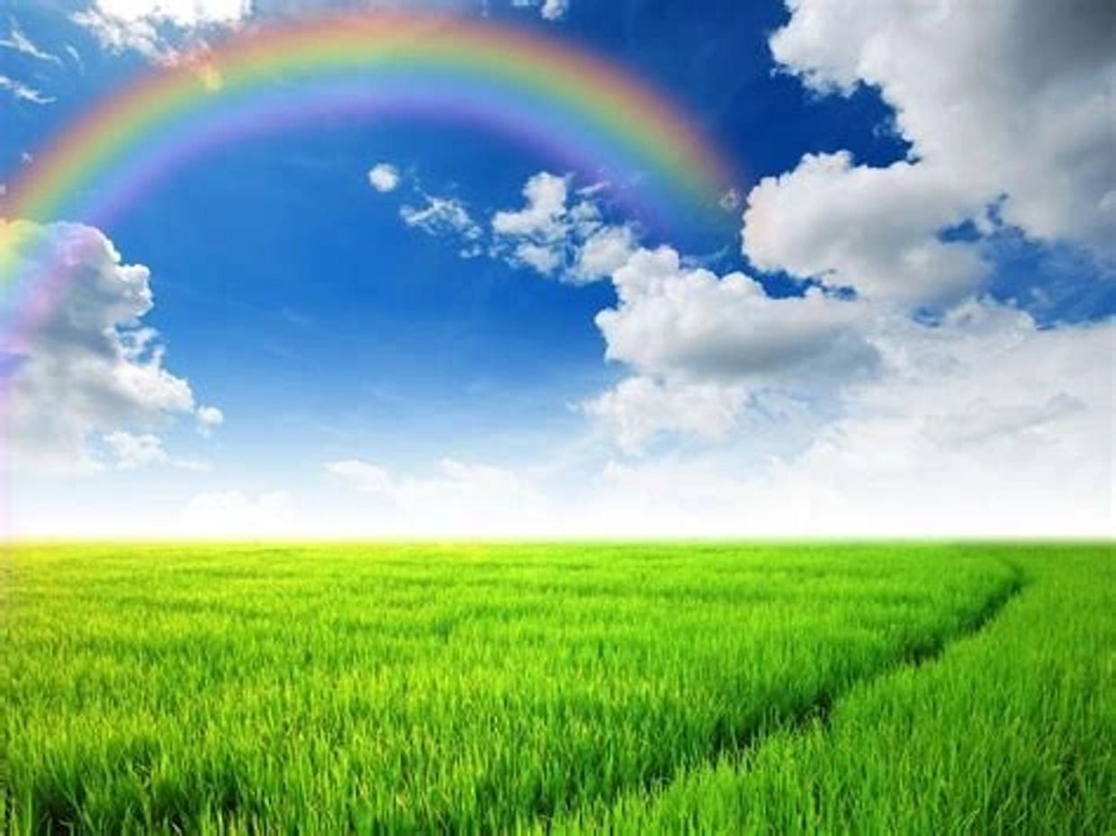 Beautiful view of rainbow