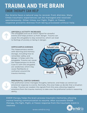 A primer on how EMDR therapy can help the brain heal from trauma.