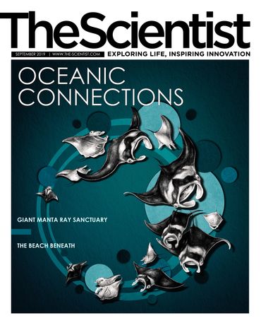 Oceanic Connections