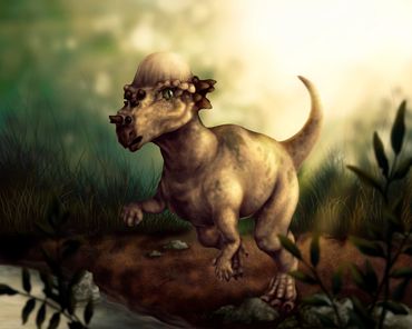 Pachycephalosaurus wyomingensis