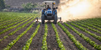 Tractor working on farmland rows representing agriculture and food production.