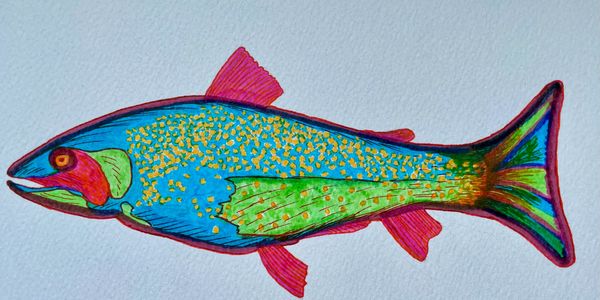 Colorful, stylized fish illustration with bright blue, green, and red hues.