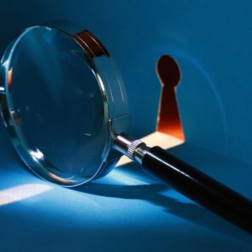 Private Investigation