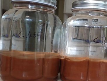 Glass jars filled with brown substance.