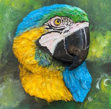 Macaw, 3D Pet Wall Art
Acrylic, 12 x 12 inches
Alison Akin
