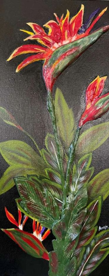 Anuja Goyal, mixed media
