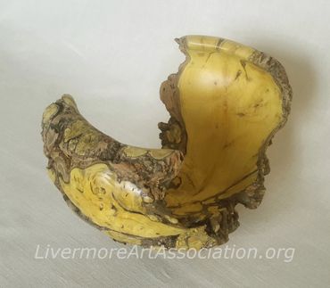 Barberry Rootball, natural color, David Goosman