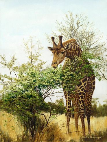 Giraffe
Oil
Bettie Goosman