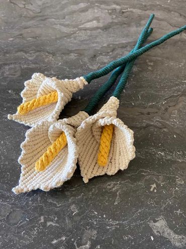 Calla Lilies, 2022
Fiber - Macramé, 13" x 3"
Parul Parekh