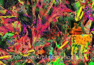 Frenzy
Photograph, paper on aluminum
David Wright