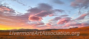 North Country Pinks
Photograph, paper on aluminum
David Wright