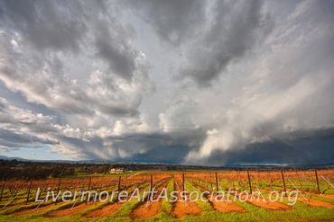 Storm Over the Vineyard
Photograph, paper on aluminum
David Wright