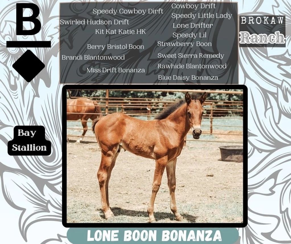 Selling September 18th at the Hermanson Kist Horse Sale