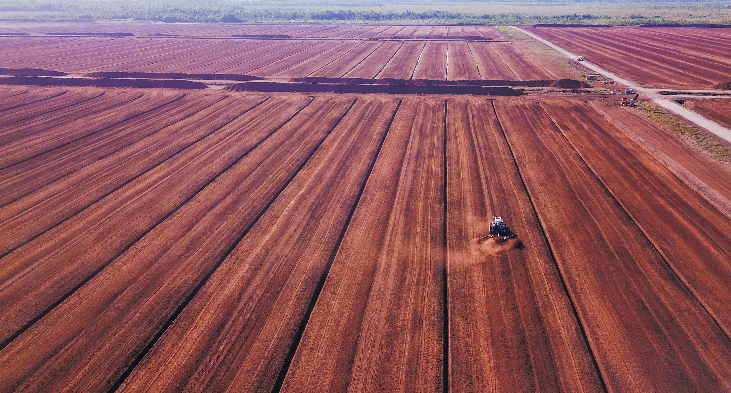Canadian Peat Moss Beiwsecreek Resource Corporation