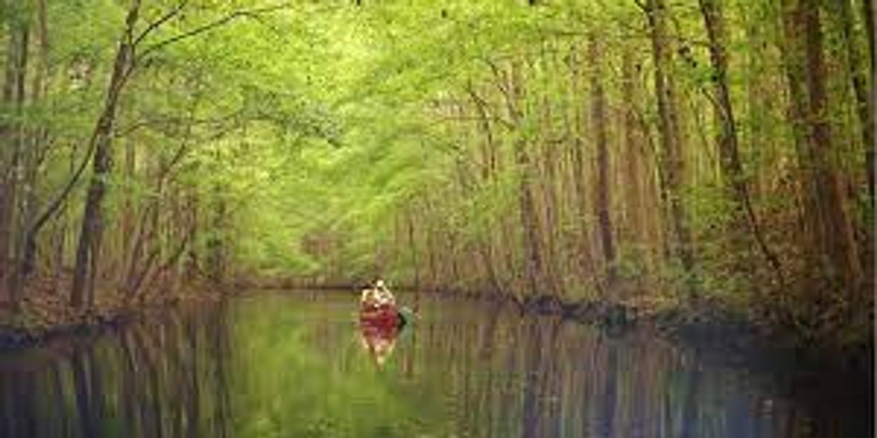 People riding a kayak through a beautiful tree lined waterway in Chesapeake VA.
