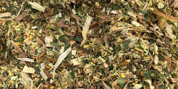Chopped green and yellow plant material.