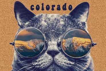 Cat Sunset small magnet