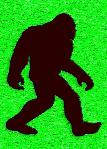 Sasquatch Neon small magnet