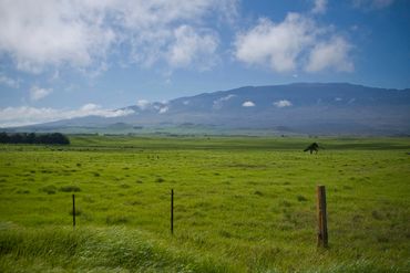 Big Island of Hawaii valet Parking