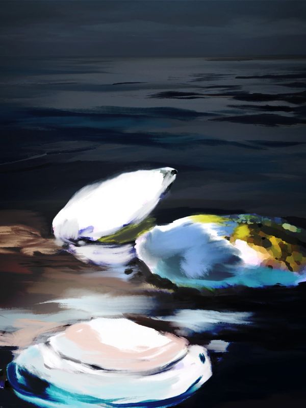Sea shells keep inspiring me - where did they come from and how  were they formed by life itself.