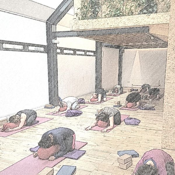 People practicing yoga in a serene studio with props.