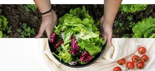 LG Refrigerator Keeps Vegetables Fresh with Hygiene Fresh Technology Malaysia