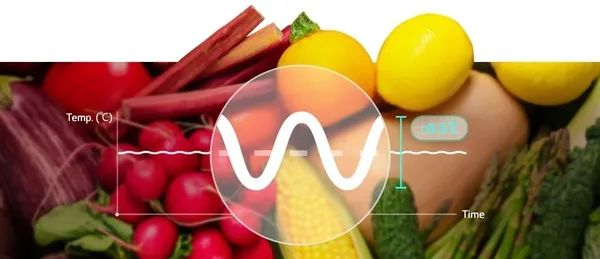 LG Linear Cooling Technology Maintains Fresh Food Temperature Malaysia