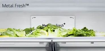 LG Metal Fresh Cooling Panel Maintains Food Freshness Refrigerator Malaysia
