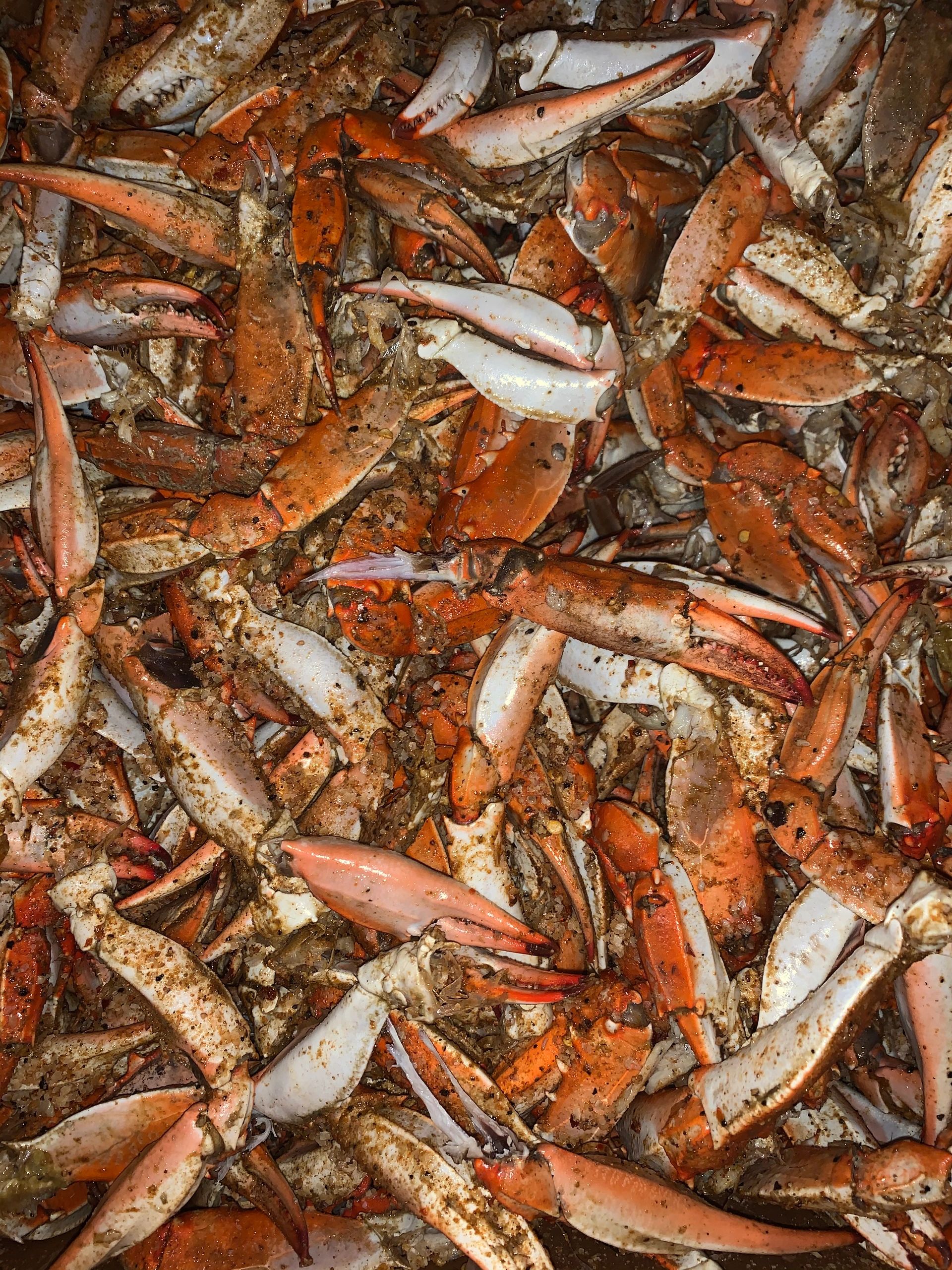 Chics seafood discount