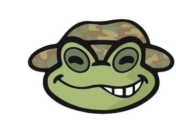 Cartoon frog face wearing a camouflage hat with a quirky smile.