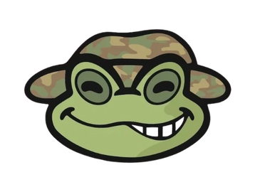 Smiling frog face wearing a camouflage hat.