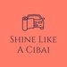 Shine Like A Cibai CarWash SDN BHD