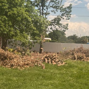 Debris Of Trimed Trees And Trunks
Before clean up