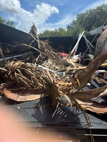 A truck bed filled with dry palm leaves, branches, and some trash under a sunny sky.