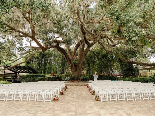 Outdoor wedding setup under a large oak tree with white chairs and floral decorations.